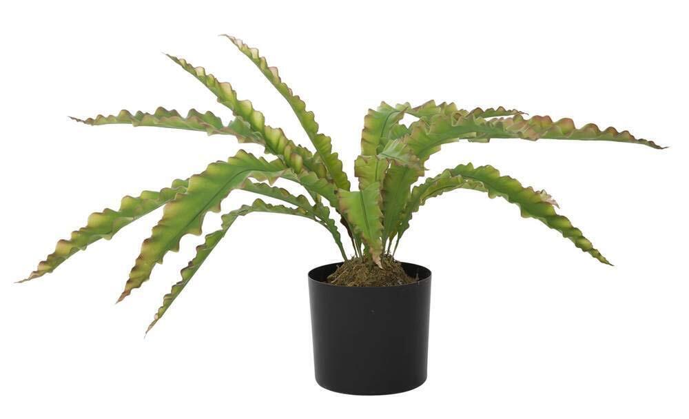 8321 Real Touch Agave for Indoor Home and Office Accent Décor with Eco